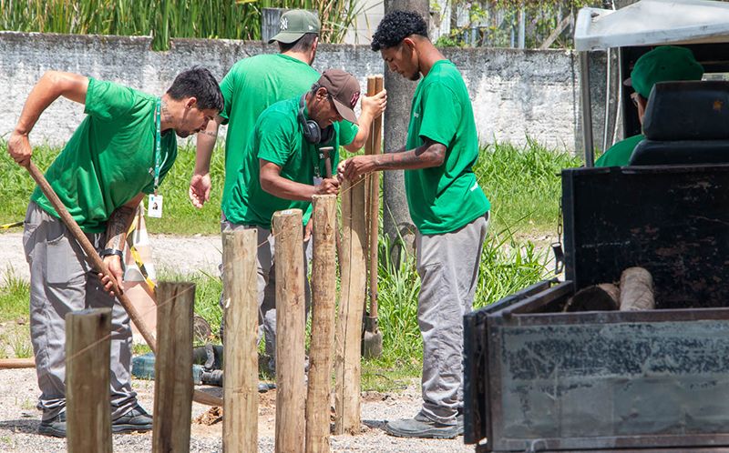 Notícia: UFSC modifica áreas externas para recuperar espaços degradados e proteger águas e&nbsp;nascentes